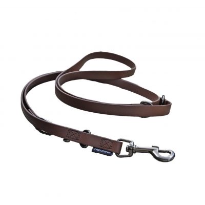 Hundeleine Biothane Stay braun
