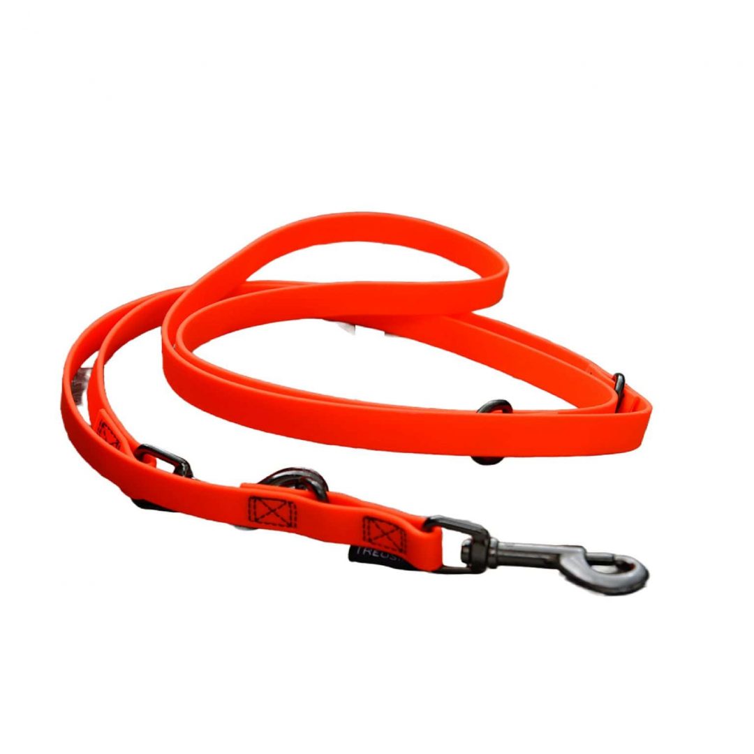 Hundeleine Biothane Stay orange