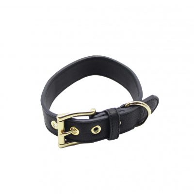 Allen Barkly - Lederhalsband schwarz