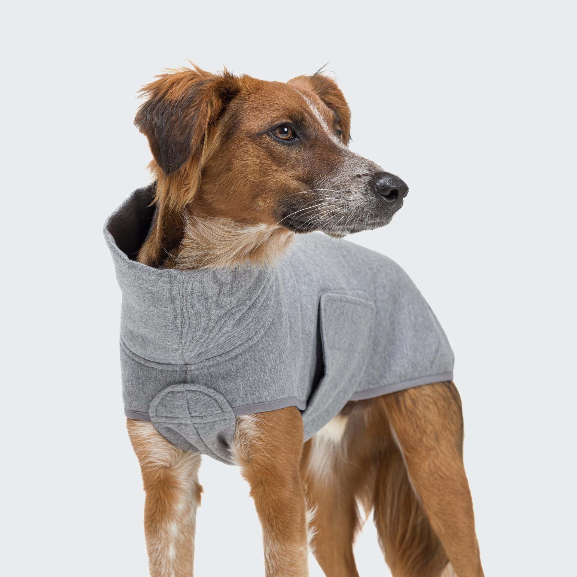Cloud 7 - Hundepullover Dorset Grey Mélange – Bild 5