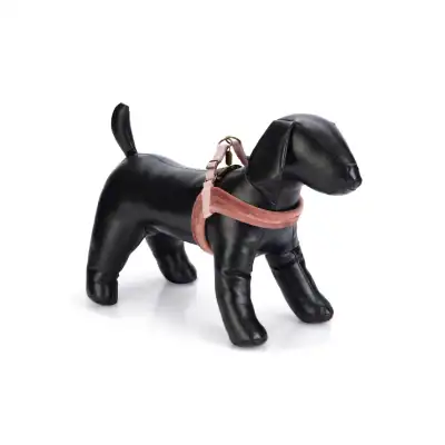 Designed by Lotte - Hundegeschirr Velura Pink