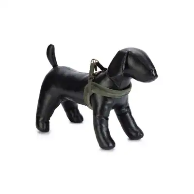 Designed by Lotte - Hundegeschirr Velura Grün