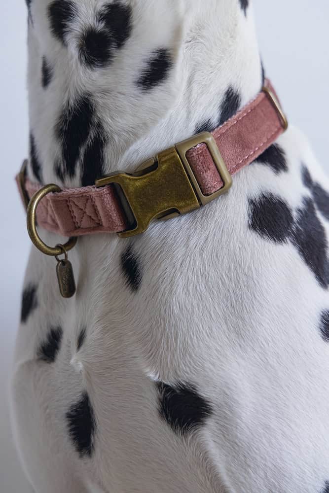 Designed by Lotte - Halsband Velura Pink – Bild 6