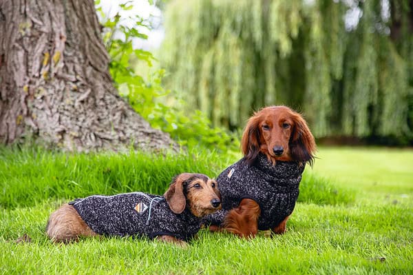 Beeztees - Hundepullover Celia Dunkelgrau – Bild 6