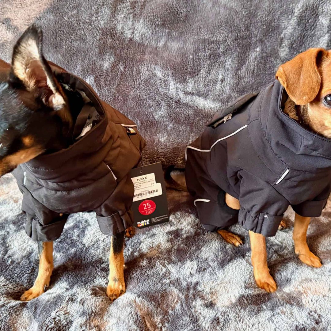 Rukka Pets - Hundemantel Thermal Overall schwarz – Bild 8