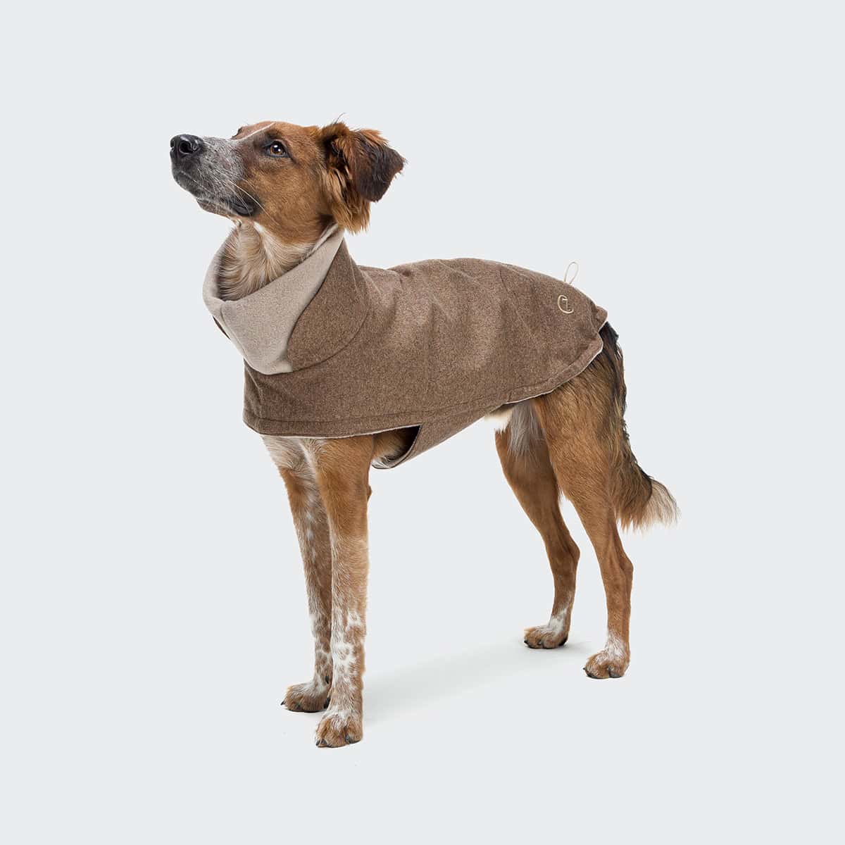Cloud 7 - Hundemantel Brooklyn Flanell Hazel – Bild 4