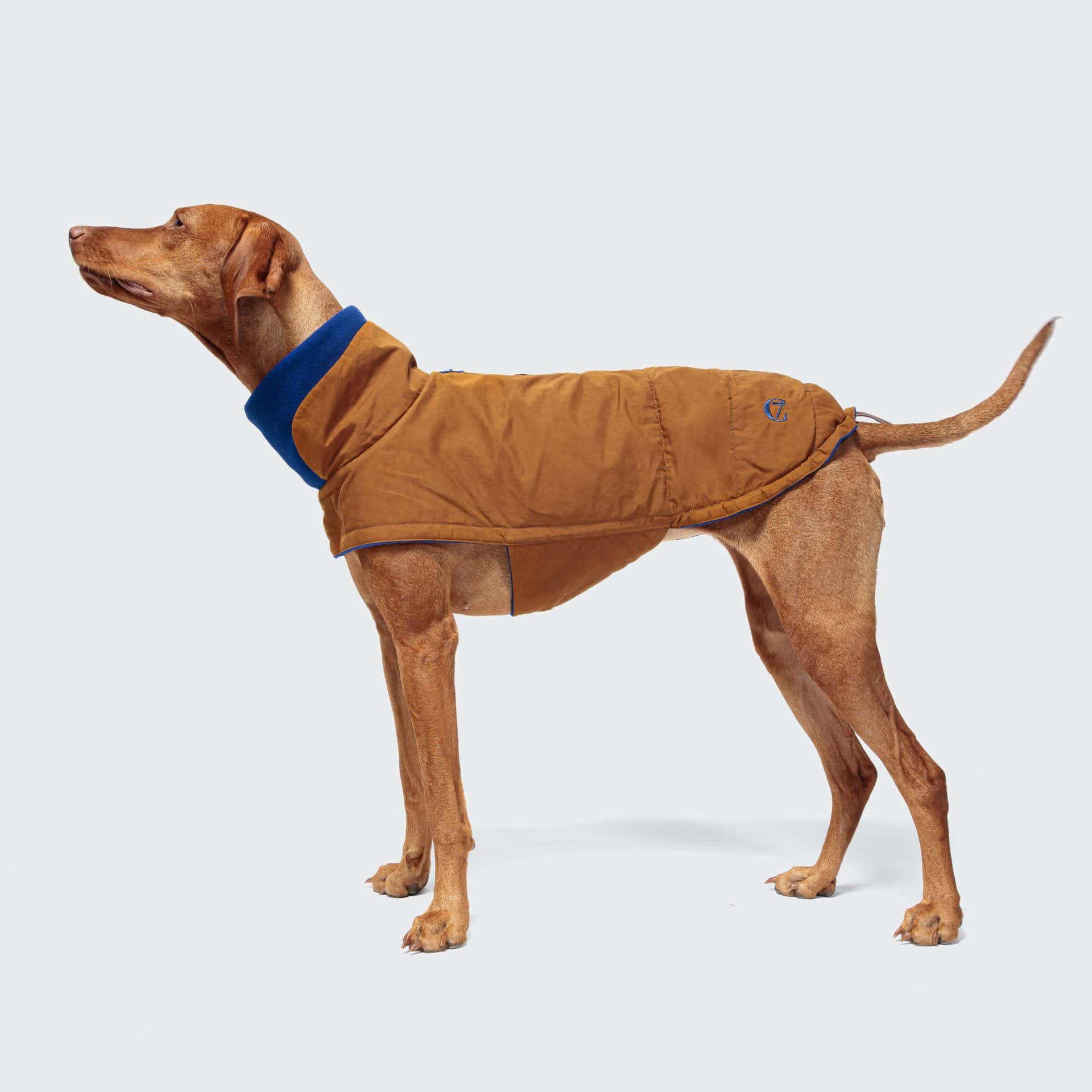 Cloud 7 - Hundemantel Brooklyn Waxed Cotton Curry – Bild 2