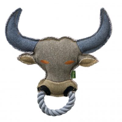 Canvas Ring Ox