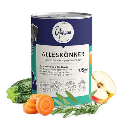 Insektenfutter Alleskönner