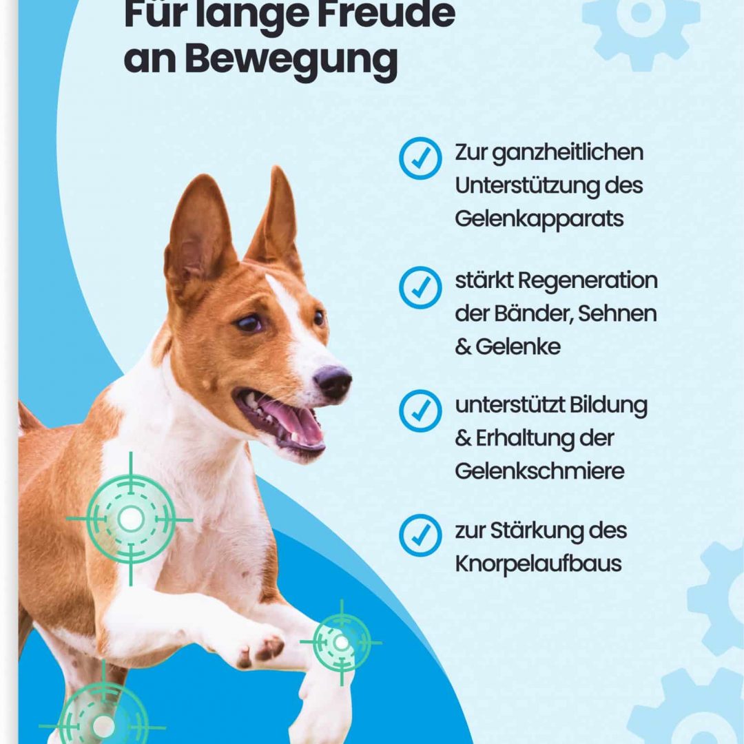 Pawsan - Gelenk Aktiv Gelenktabletten – Bild 2