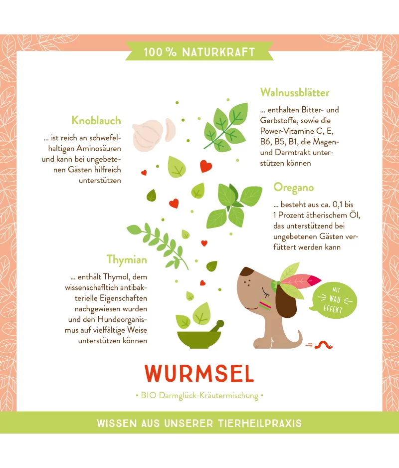AniCanis - Bio Darmkräuter Wurmsel – Bild 2