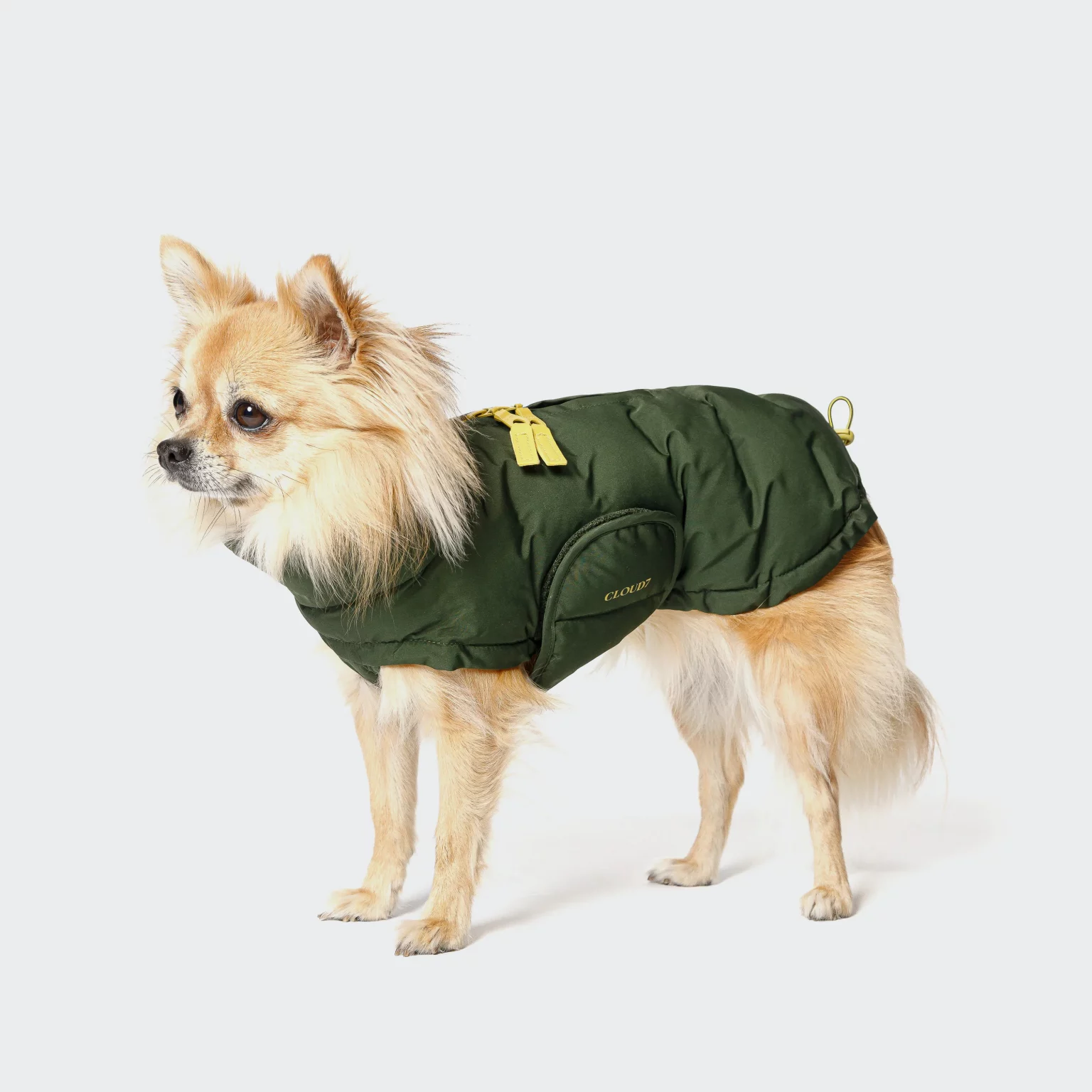 Cloud 7 - Hundemantel Alaska PRO Olive – Bild 3