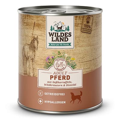 Wildes Land - Pferd
