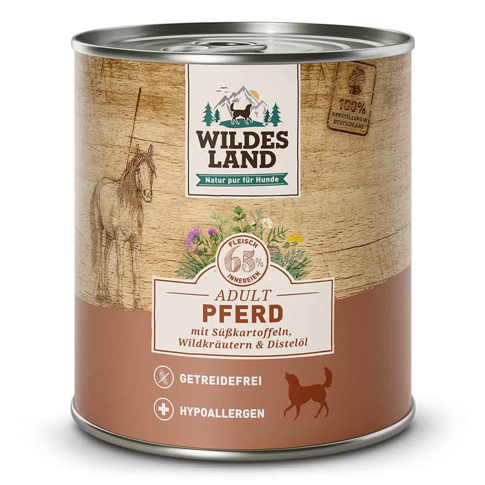 Wildes Land - Pferd
