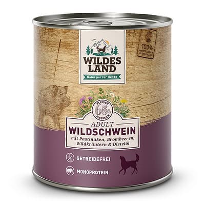 Wildes Land - Wildschwein