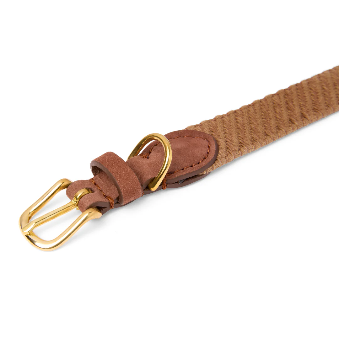 Molly and Stitch - “Serrana“ Hundehalsband Whiskey – Bild 2