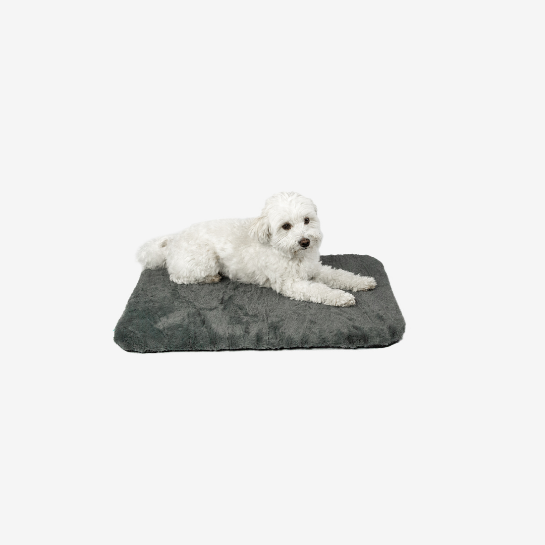 Manuly - Hunde Isomatte Langhaar, selbstaufblasbar – Bild 2