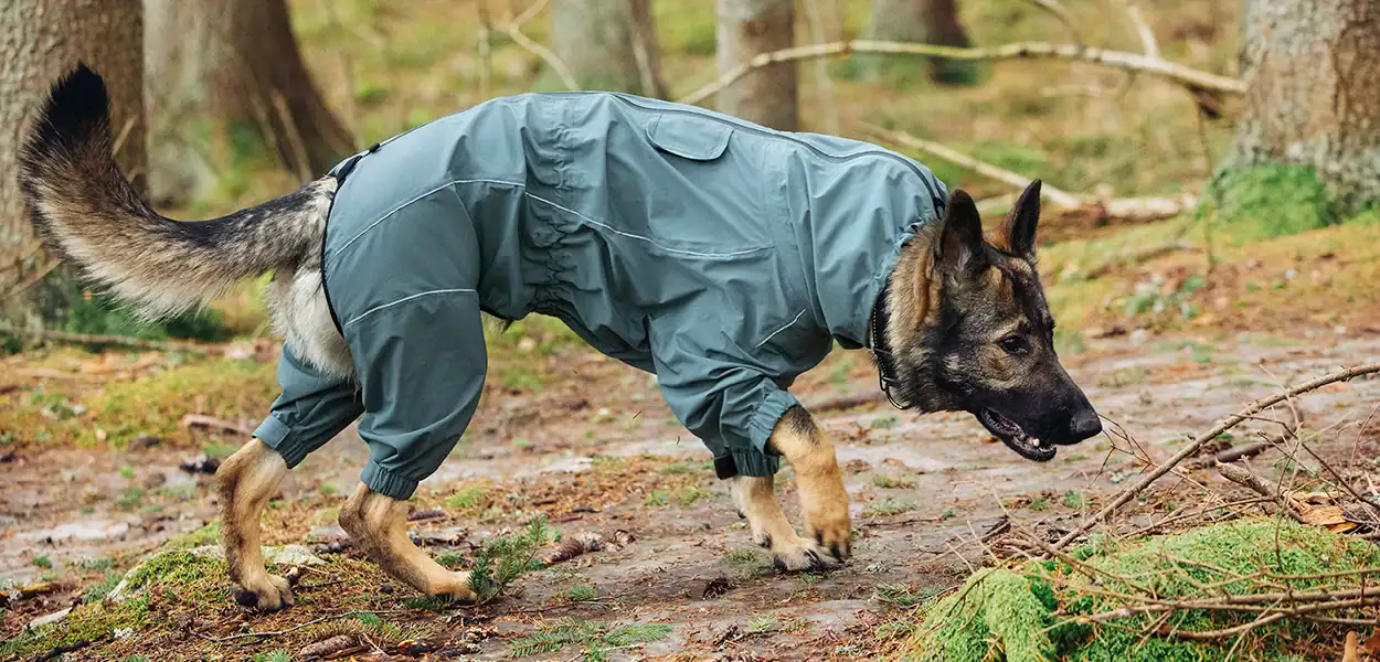 Rukkapets_Brand_page_HIHT_Slide11