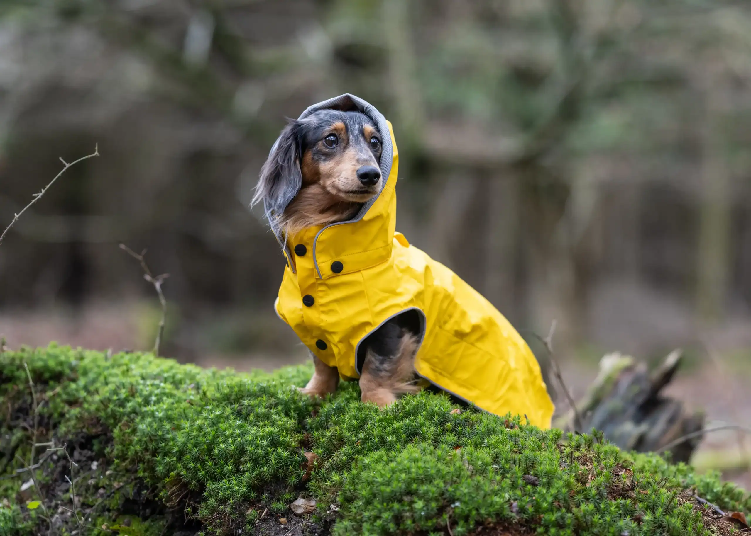 WOLTERS_RUKKA_Regenmantel_Stream (20)