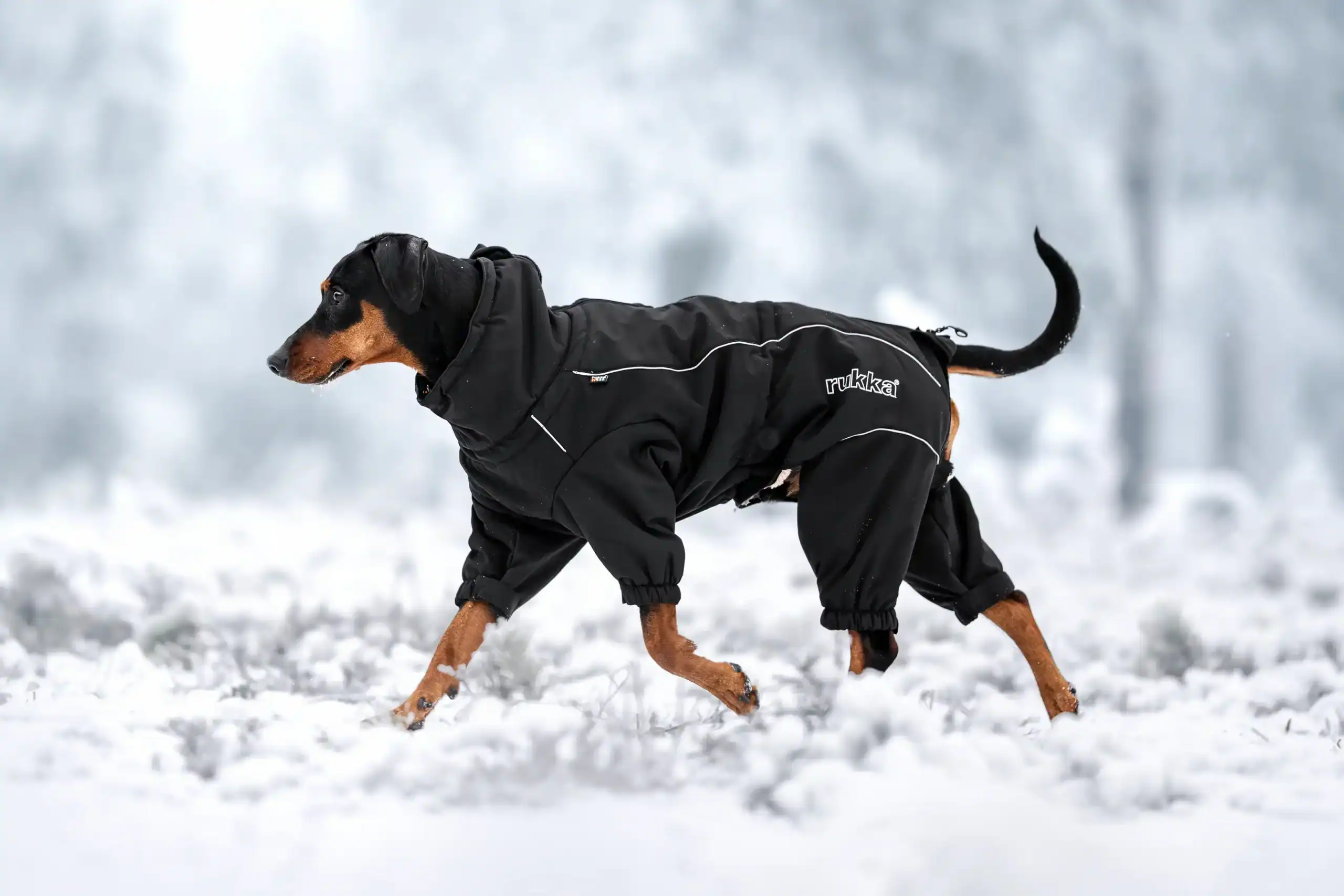 WOLTERs_RUKKA_Thermo_Overall_schwarz_Mood_II