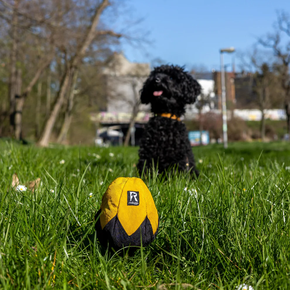 Redoggo - Schnüffelei – Bild 3