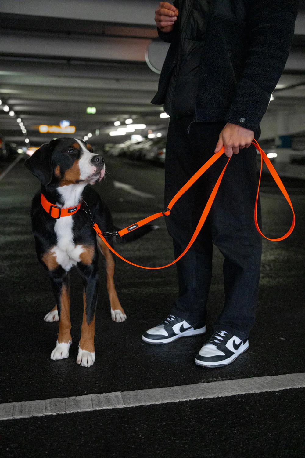 Hej Nika - BioThane® Leine Mérida Neon Orange – Bild 2