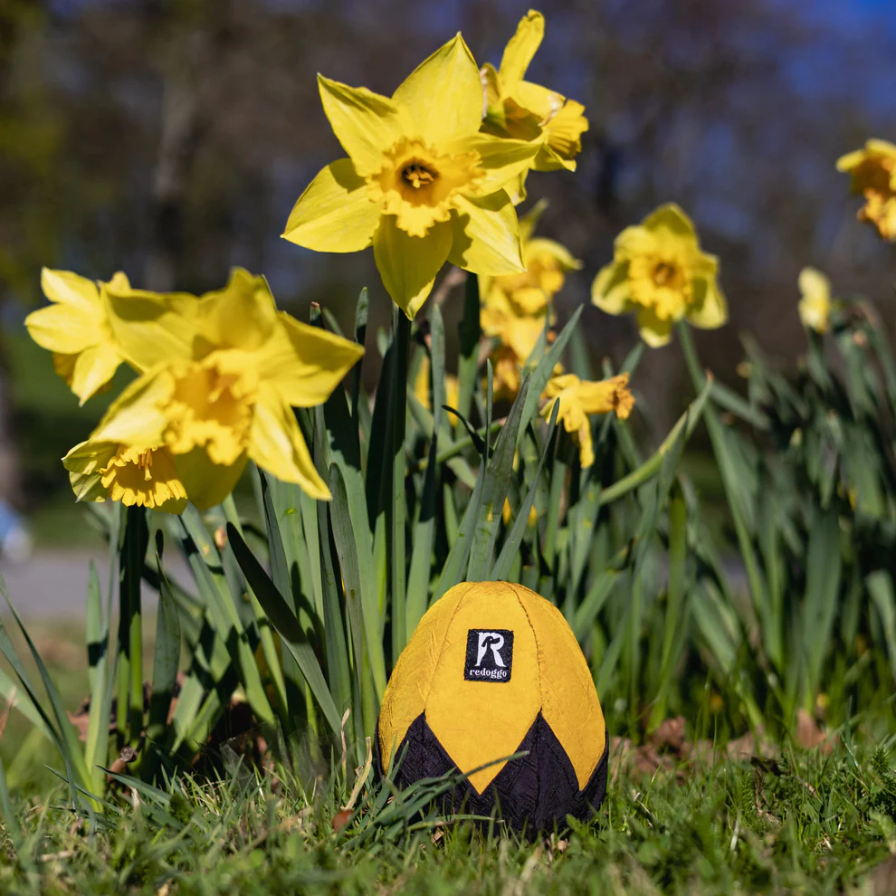 Redoggo - Schnüffelei – Bild 5