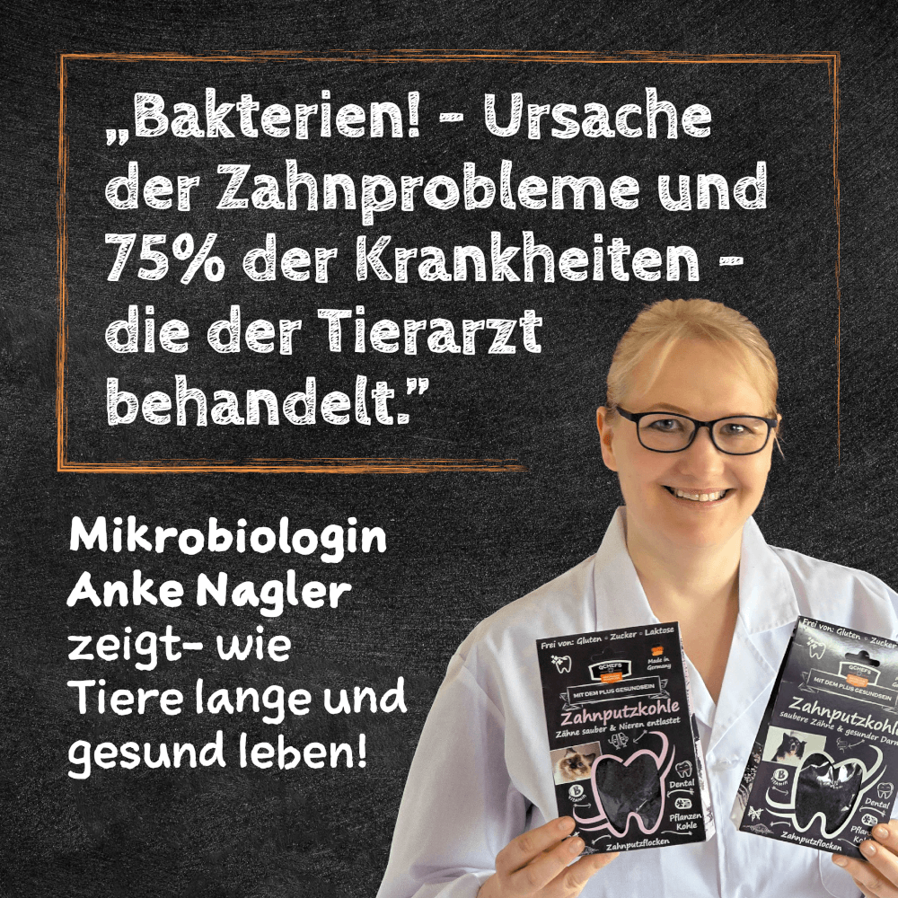 QCHEFS - Zahnputzkohle – Bild 7