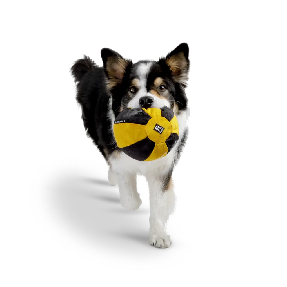 Redoggo - Ball – Bild 8