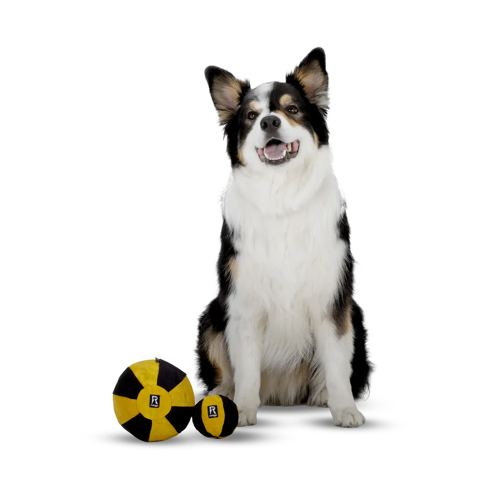 Redoggo - Ball – Bild 7