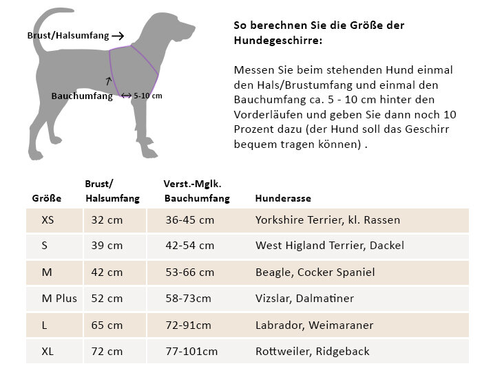 Maul Ledermanufaktur - Ledergeschirr schwarz – Bild 4