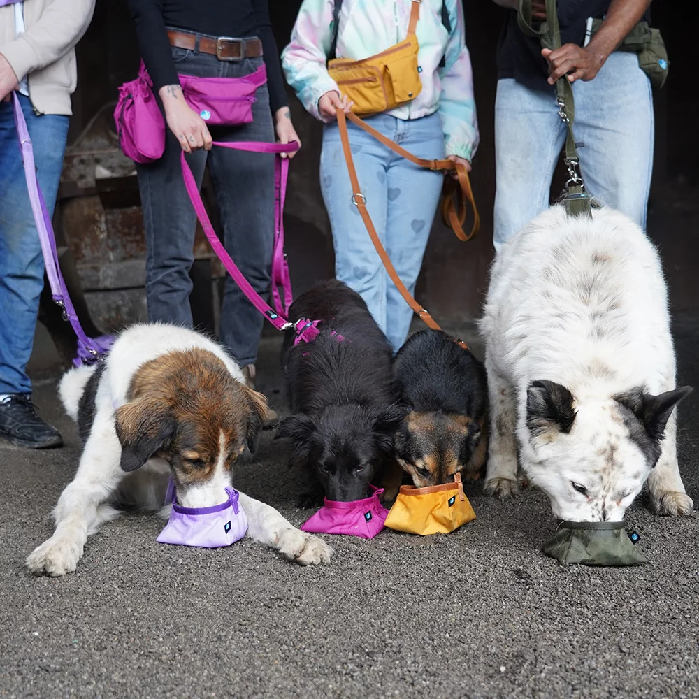 AnnyX - Napf to go - Diverse Farben – Bild 4