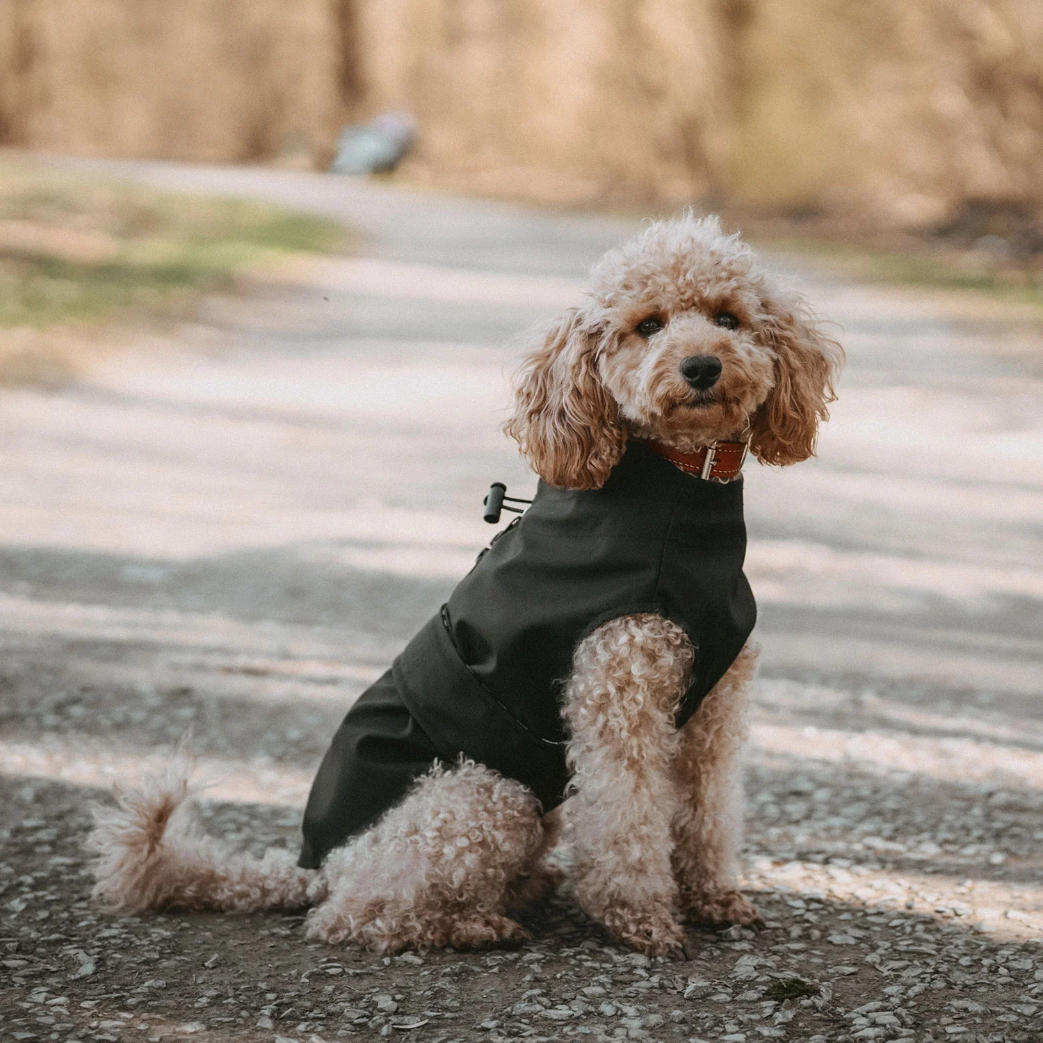 Hunter - Hunderegenmantel Milford Schwarz – Bild 4