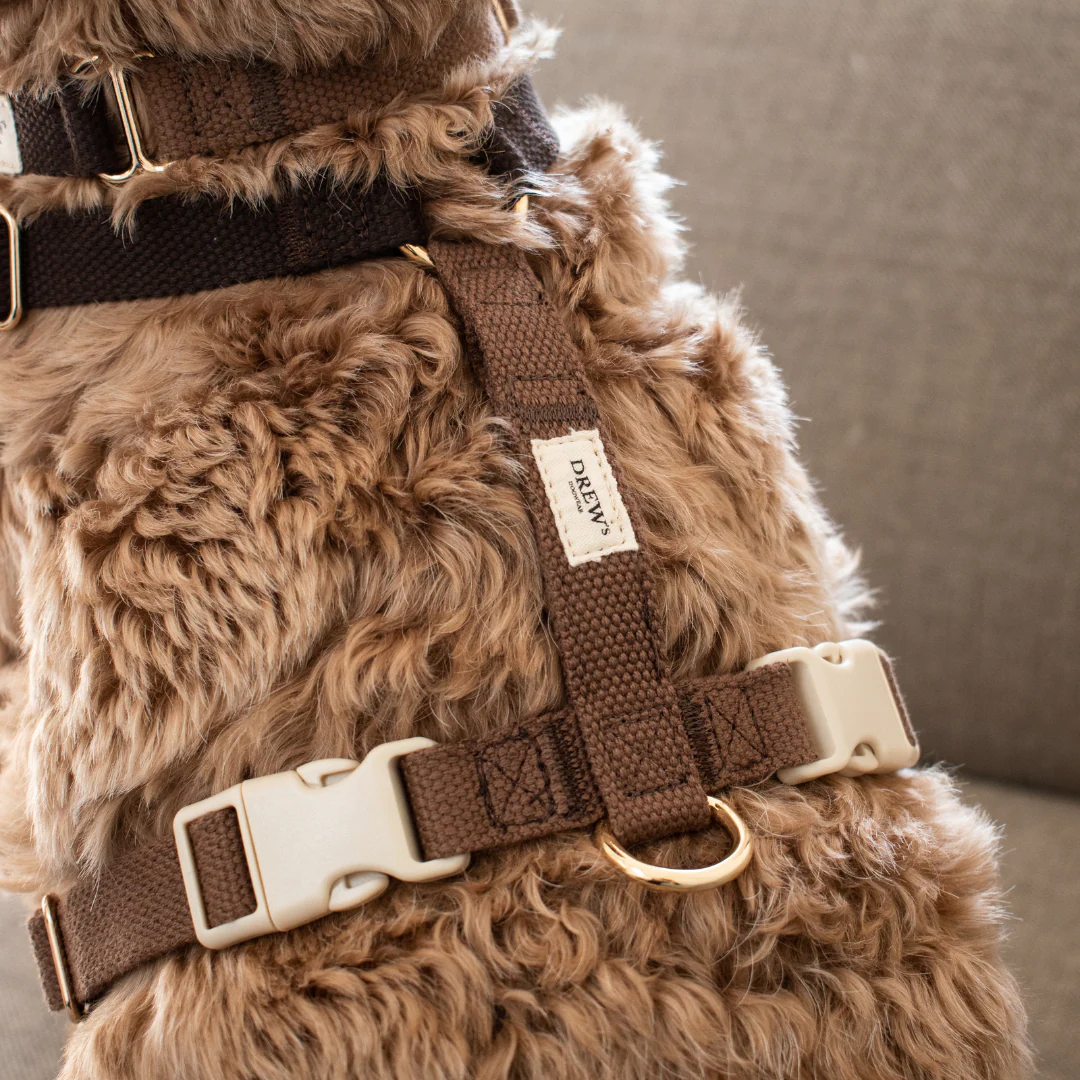 Drew´s Dogwear - Geschirr Chocolate – Bild 6