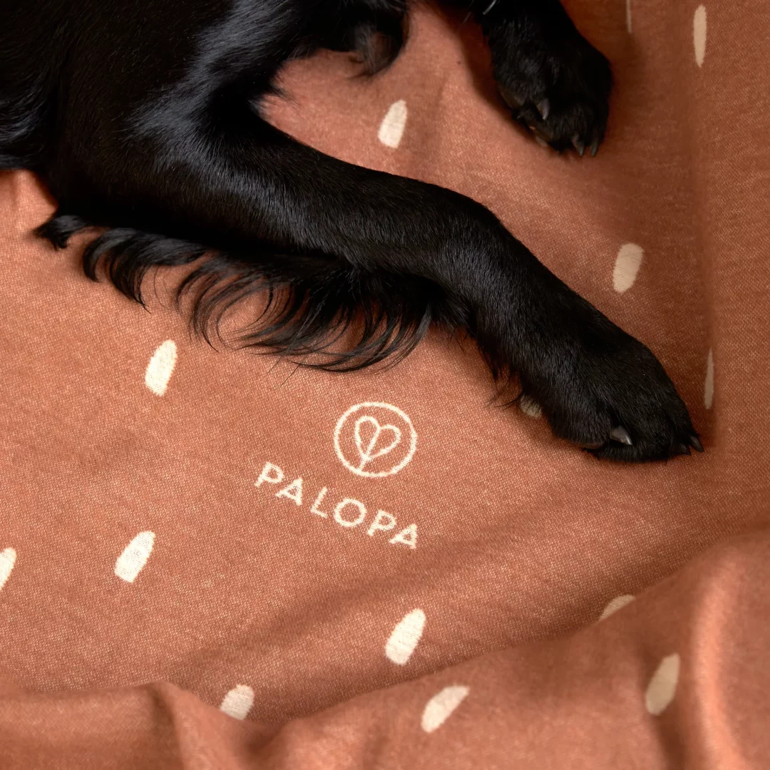 Palopa - Hundedecke Ida Punkte Zimt/Milchig – Bild 3