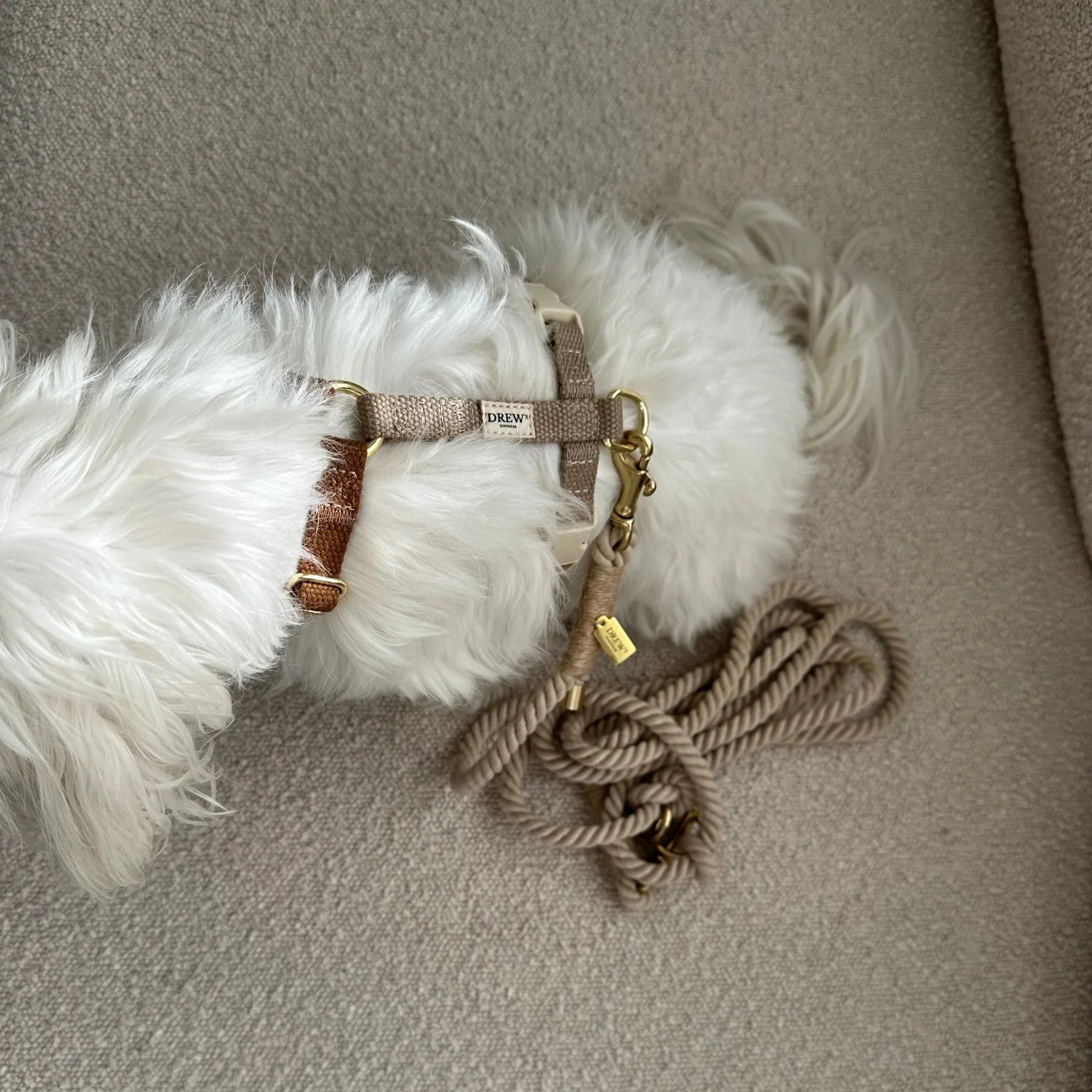 Drew´s Dogwear - Leine Beige Standard – Bild 4