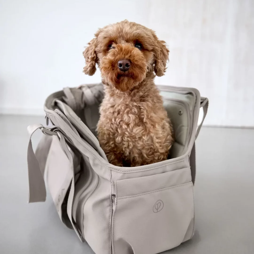Palopa - Hundetasche Weda Taupe – Bild 4
