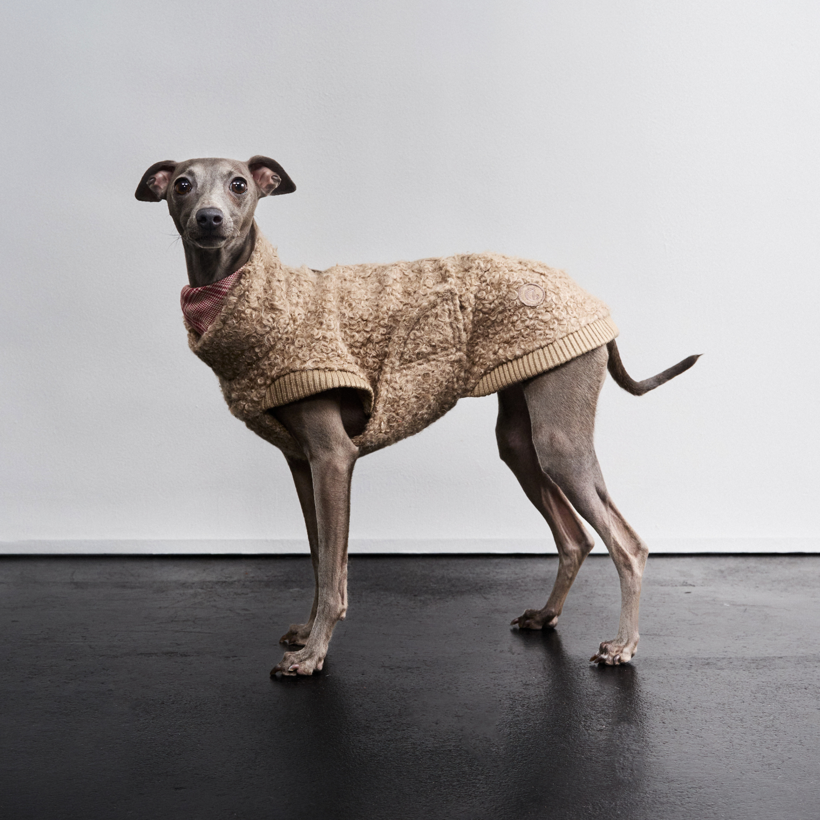 Kiezhund Hundeshop Hundejacke aus kuscheligem Fleece für kleinen, eleganten Hund, warm und stilvoll, perfekt für Winter Spaziergänge.