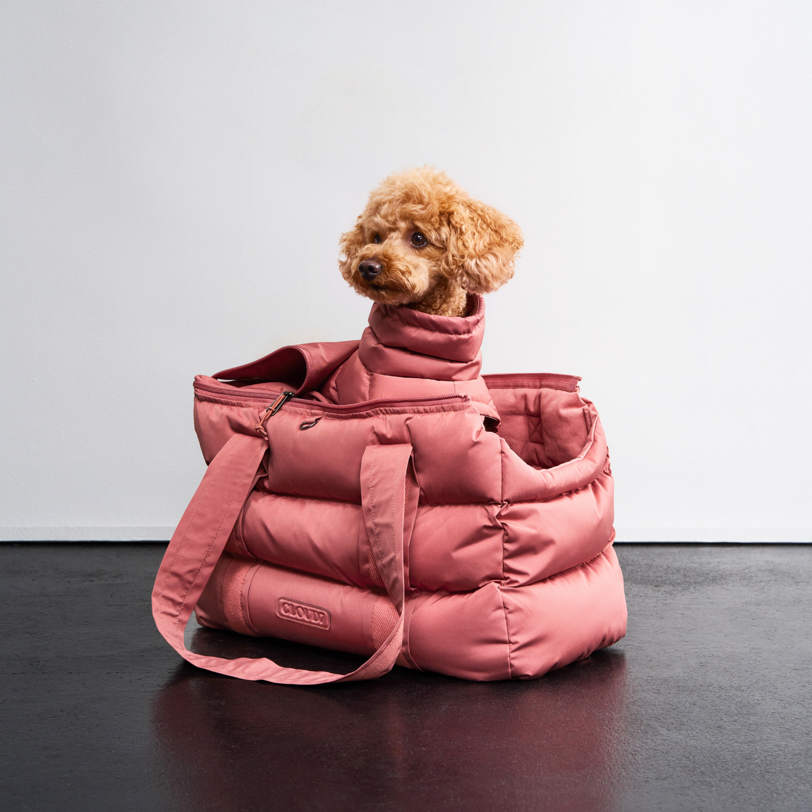 Weißes Textil Hundebett mit maronenbraunem Hunde-Pudel in Jacke auf gemütlicher Matratze, perfekt für allergikerfreundliche Tierliebe, Hundezubehör, komfortable Hundematte, langlebige Haustierbox, Hundeschlafplatz, modernes Hundeaccessoire, Kiezhund Hundeshop.