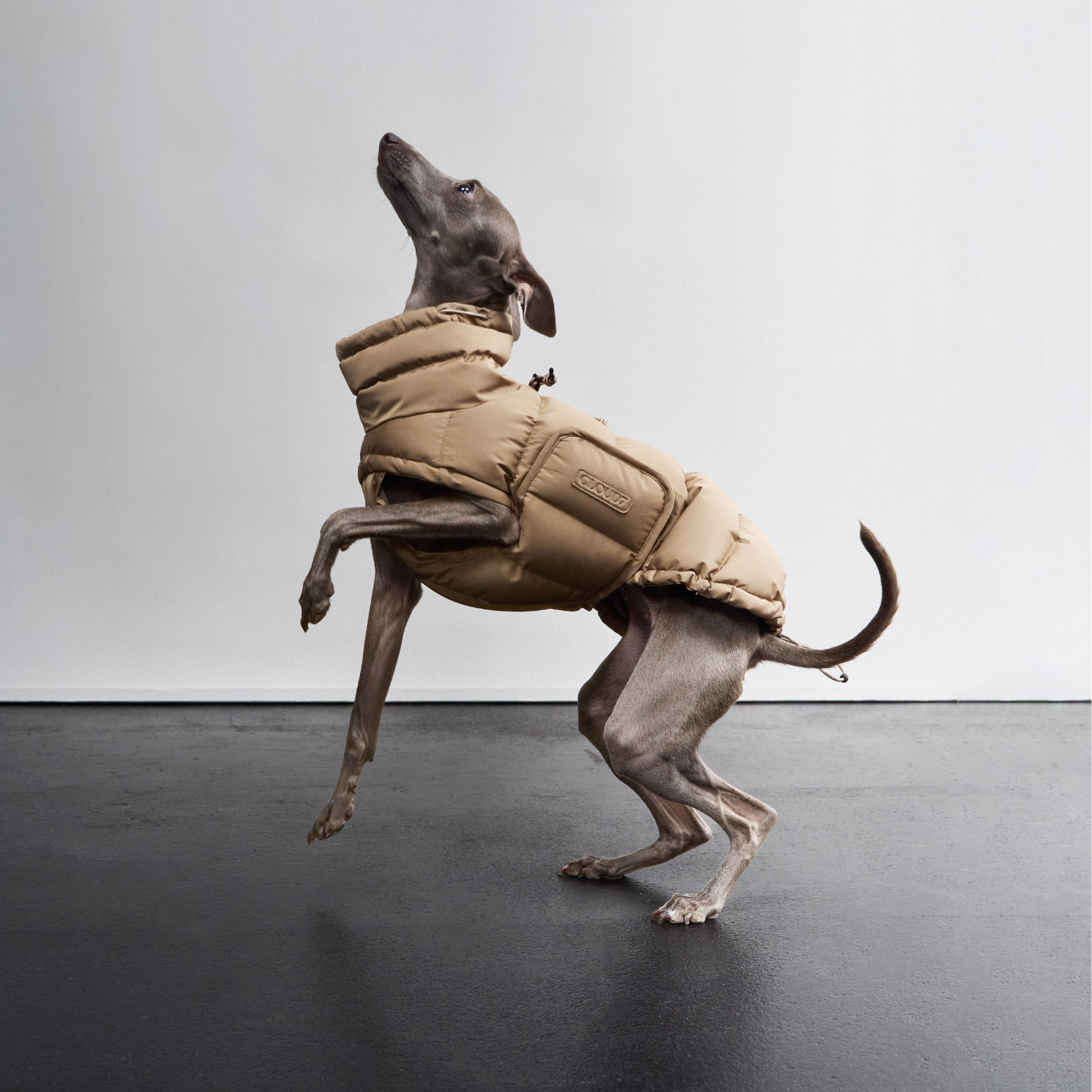Bequemer Hundedown Jacket für Hunde, warm und wasserabweisend, ideal für Winter, Schutz vor Kälte und Regen, hochwertiges Tiermode-Accessoire von Kiezhund Hundeshop.