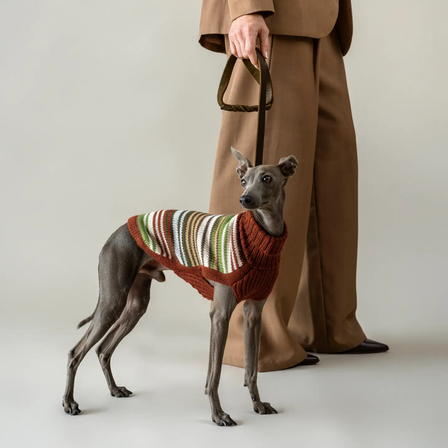 Stylischer Hundemantel mit buntem Streifenmuster, ideal für kalte Tage, bei Kiezhund Hundeshop, perfekt für kleine und große Hunde, hochwertiges Hundeaccessoire, modisch und funktional.