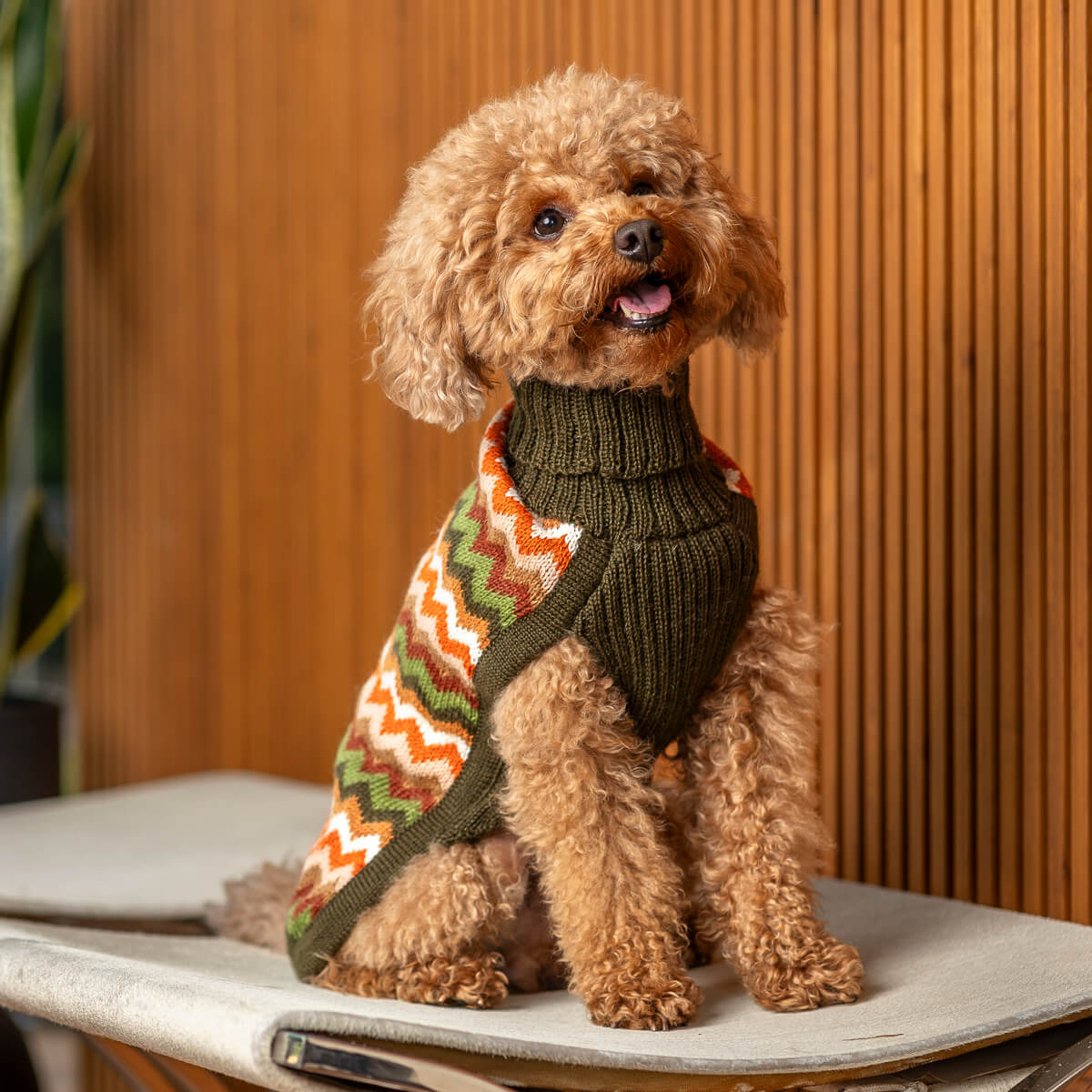 Hundefreundlicher Pullover für kleine und mittelgroße Hunde, kuscheliger Tragekomfort, ideal für kalte Tage, modisches Design, zugeschnitten für Hundeshop Kiezhund.
