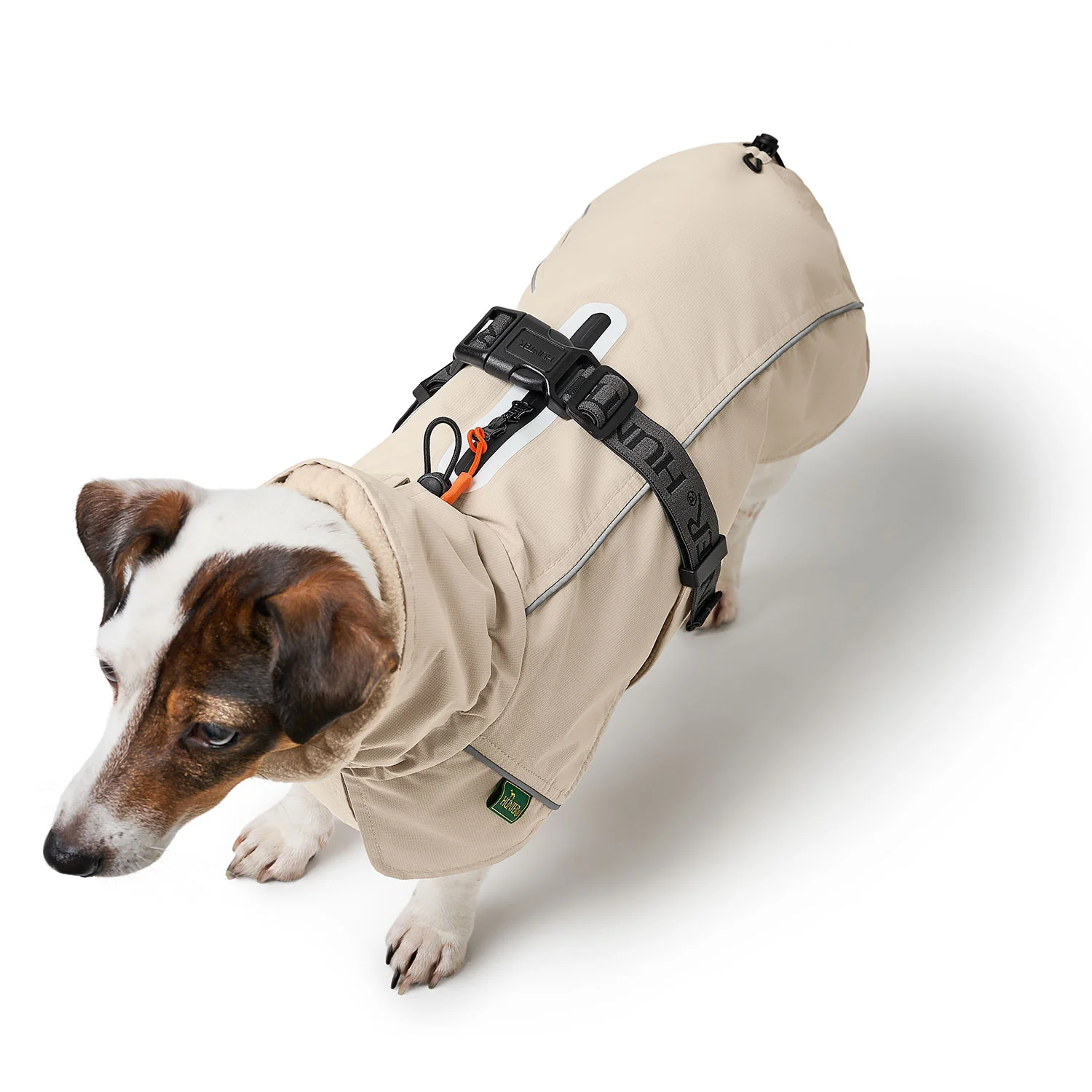 Hunderaincape mit Hund im Kiezhund Hundeshop, idealer Schutzmantel bei schlechtem Wetter, wasser- und winddicht, bequem für Spaziergänge, hochwertiges Hundezubehör.