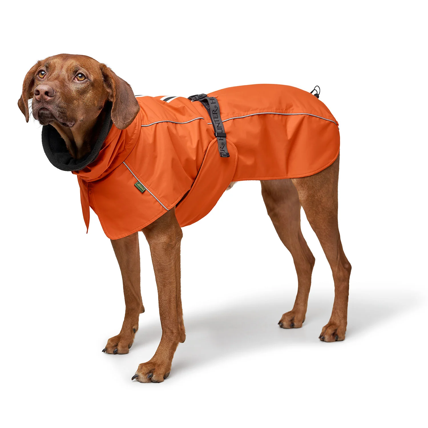 Wasserdichte Hundejacke in leuchtendem Orange, ideal für den Outdooreinsatz, schützt Ihren Hund bei Regen und Kälte. Perfekt für Hunde aller Größen, hochwertiges Material, einfache Handhabung.