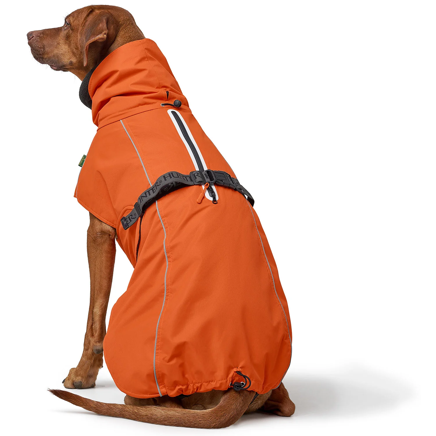 Robuster Hundemantel in leuchtendem Orange, wasserdicht und winddicht, perfekt für Outdoor-Aktivitäten mit Ihrem Hund. Mit praktischem Reflektor und verstellbarem Gurt für optimalen Sitz.