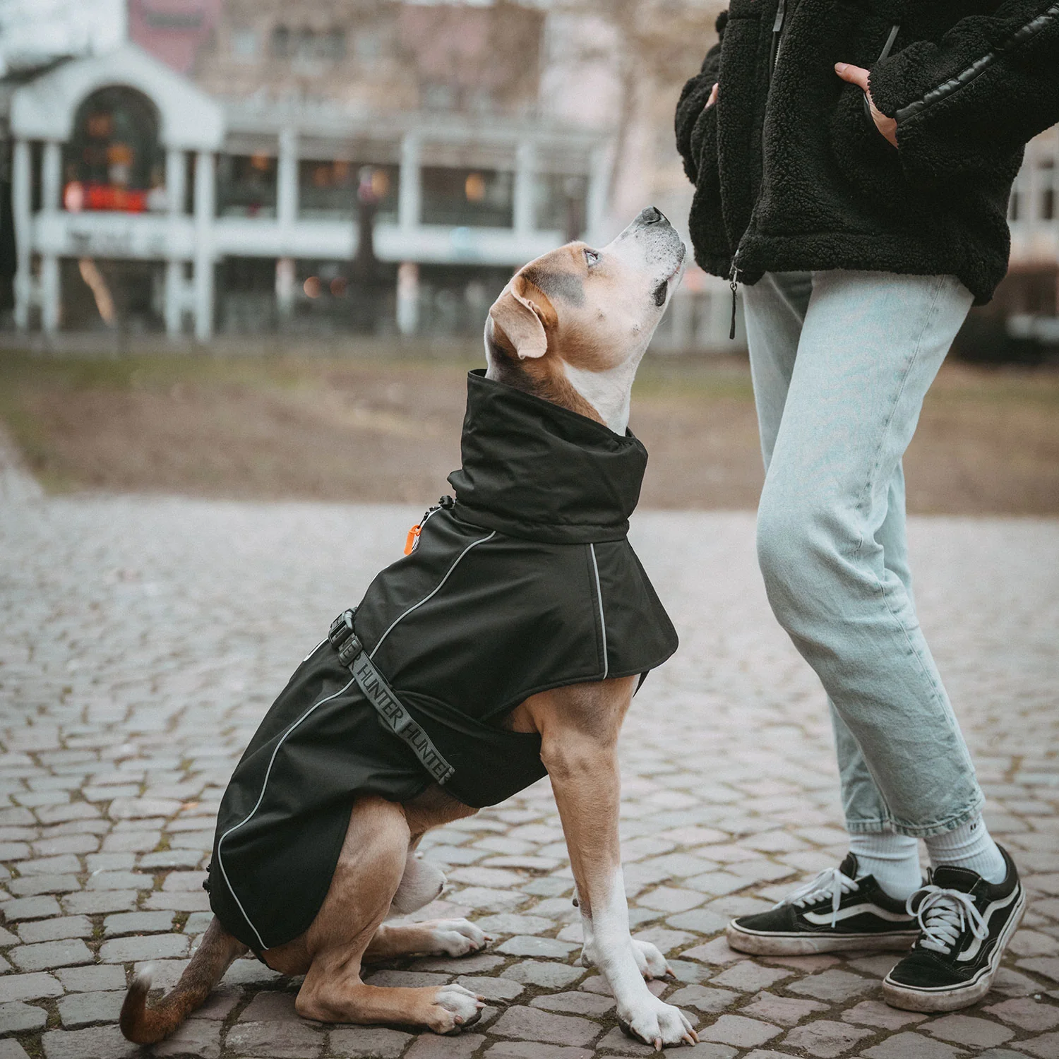 Hundeimprägnierte Hundedecke für Spaziergänge, strapazierfähiges Hundezubehör, wetterfeste Hundemantel für Spaziergänge, Outdoorausrüstung für Hunde, Hundesport- und Outdoorshop, Hundeshop Kiezhund.