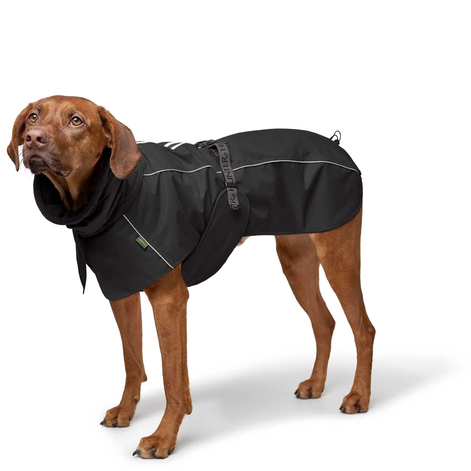 Hundefutter, Hundeleinen und Hundezubehör aus dem Kiezhund Hundeshop, spezialisiert auf hochwertige Hundebekleidung und -ausrüstung. Perfekt für alle Hundebesitzer, die Wert auf Qualität und Komfort legen.