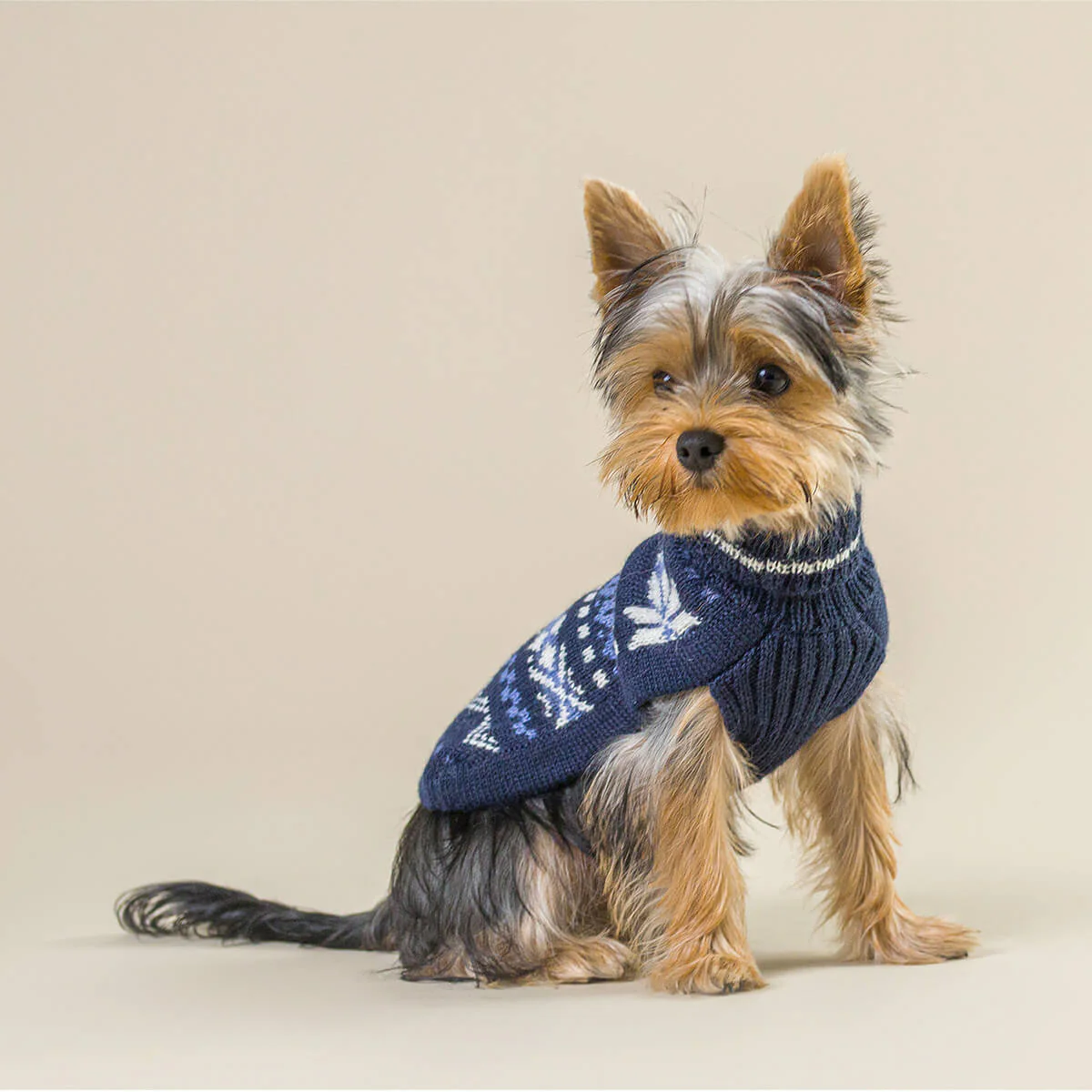 Modischer Hundesweater für kleine Hunde, warm und bequem, mit winterlichem Muster, ideal für den Hundeshop Kiezhund Hundeshop. Perfekt für kalte Tage und stilvolles Hundeleben.