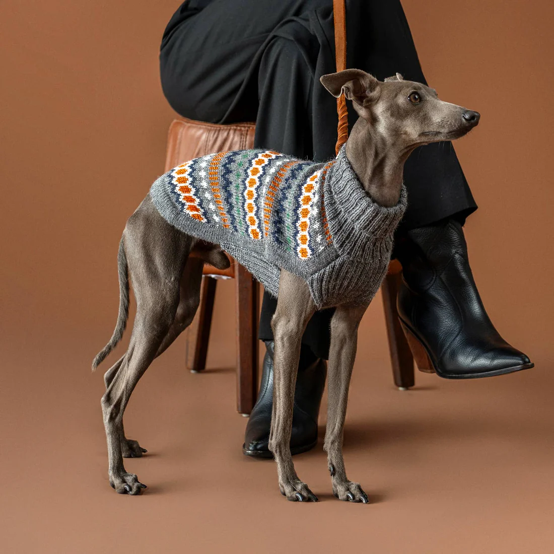Hundefigur mit stylisher Kleidung, gemütliches Strickpullover Modell für Hunde, modische Hundebekleidung, winterliche Hundemode, gemütliche Hundekleidung für kalte Tage, Hundeshopping bei Kiezhund Hundeshop, hochwertige Hundebekleidung, Hundemode online kaufen.