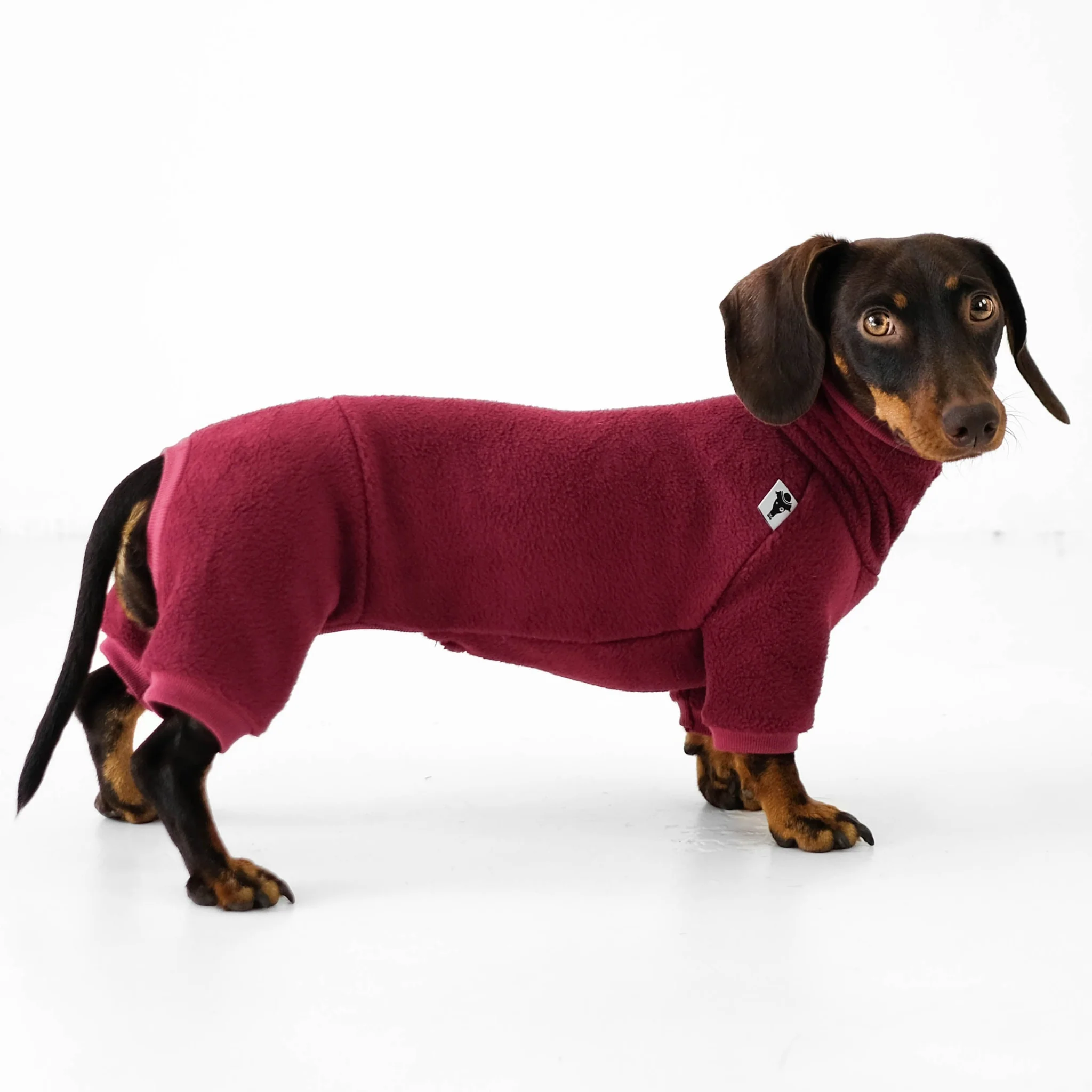 Bequemer Hundepullover für Dackel, wärmend und stilvoll, perfekt für kaltes Wetter, aus hochwertigem Fleece gefertigt. Ideal für Hundegeschäfte, Hundezubehör und Hundemode.
